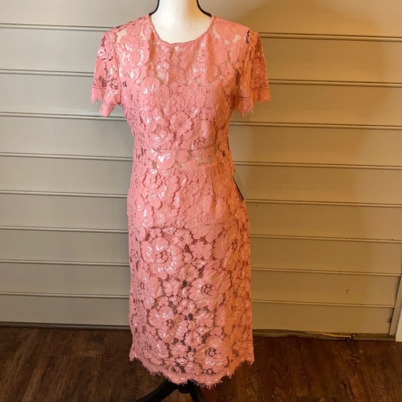 NWT NSR Lace Pink Sheath Dress Short Sleeve - Picture 2 of 10